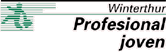 winprofesional.gif (4640 bytes)